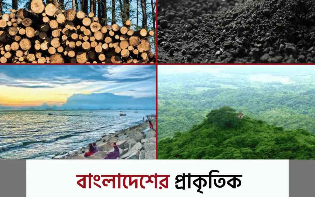 বাংলাদেশের প্রাকৃতিক সম্পদ: সম্ভাবনার ভান্ডার নাকি অব্যবস্থাপনার শিকার?