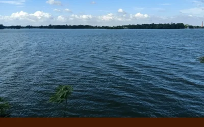 আমাদের যমুনা নদী