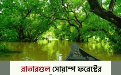 বাংলার আমাজন রাতারগুল ভ্রমণ: জীবনে একবার ঘুরে আসতেই হবে!