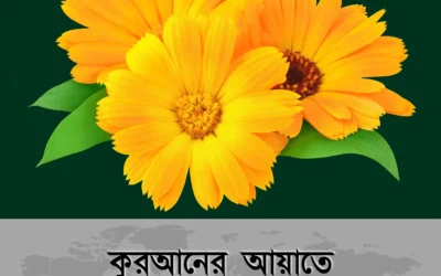মন যখন অস্থির, মনে রাখুন কুরআনের এই ১০টি আয়াত