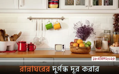 রান্নাঘরের দুর্গন্ধ দূর করতে চান? ঘরোয়া এই ১০টি উপায়ে বদলে ফেলুন আপনার কিচেন!
