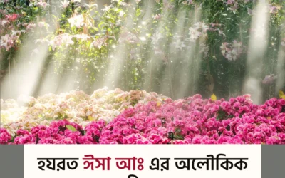 ঈসা আঃ-এর অলৌকিক জীবনী: এক বিস্ময়কর সত্যের পর্দা উন্মোচন!