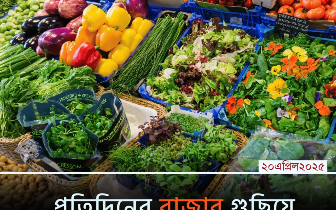 প্রতিদিনের বাজার গুছিয়ে করার ৫টি সহজ কৌশল!