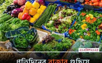 প্রতিদিনের বাজার গুছিয়ে করার ৫টি সহজ কৌশল!