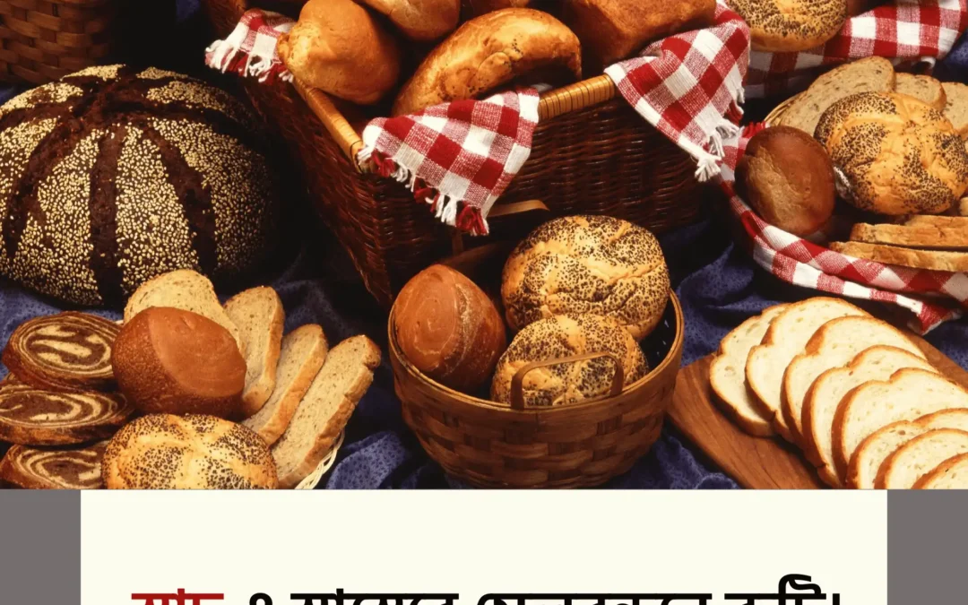 স্বাদ ও স্বাস্থ্যের মেলবন্ধনে রুটি—আরও সহজে, আরও দ্রুত!