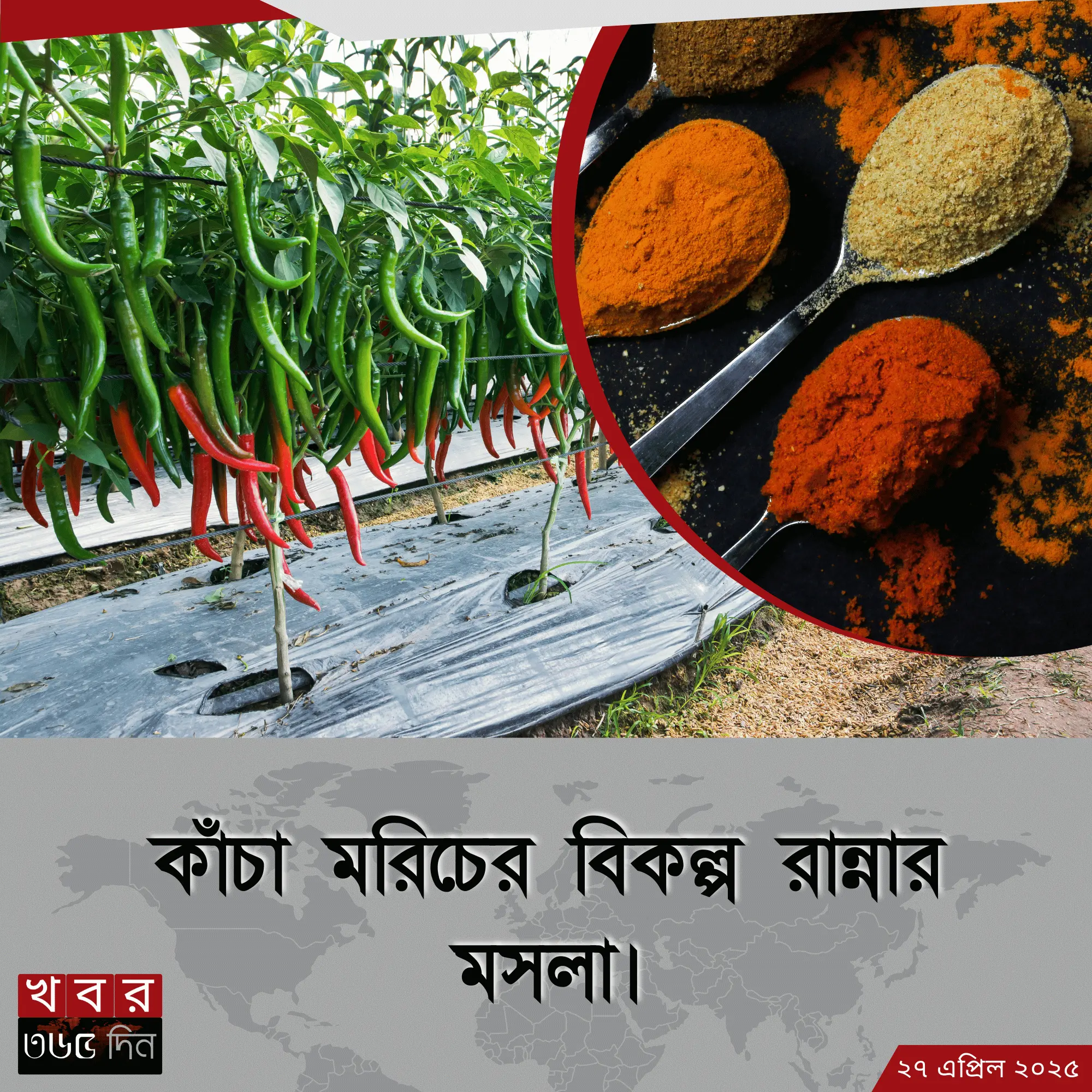কাঁচা মরিচের বিকল্প রান্নার মসলা