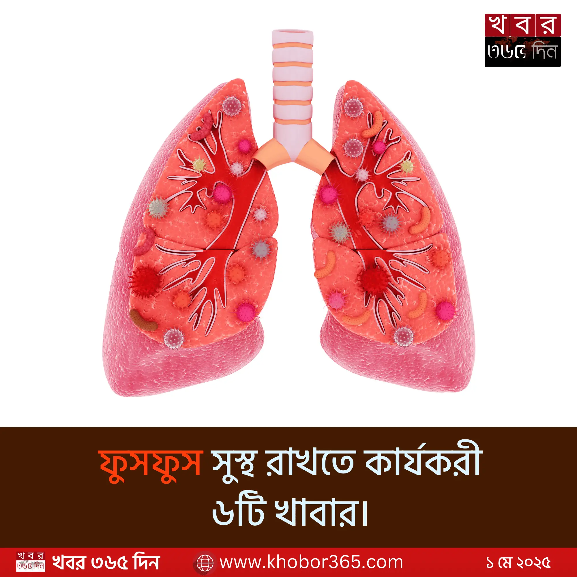 ফুসফুস ভালো রাখার উপায় ও খাবার