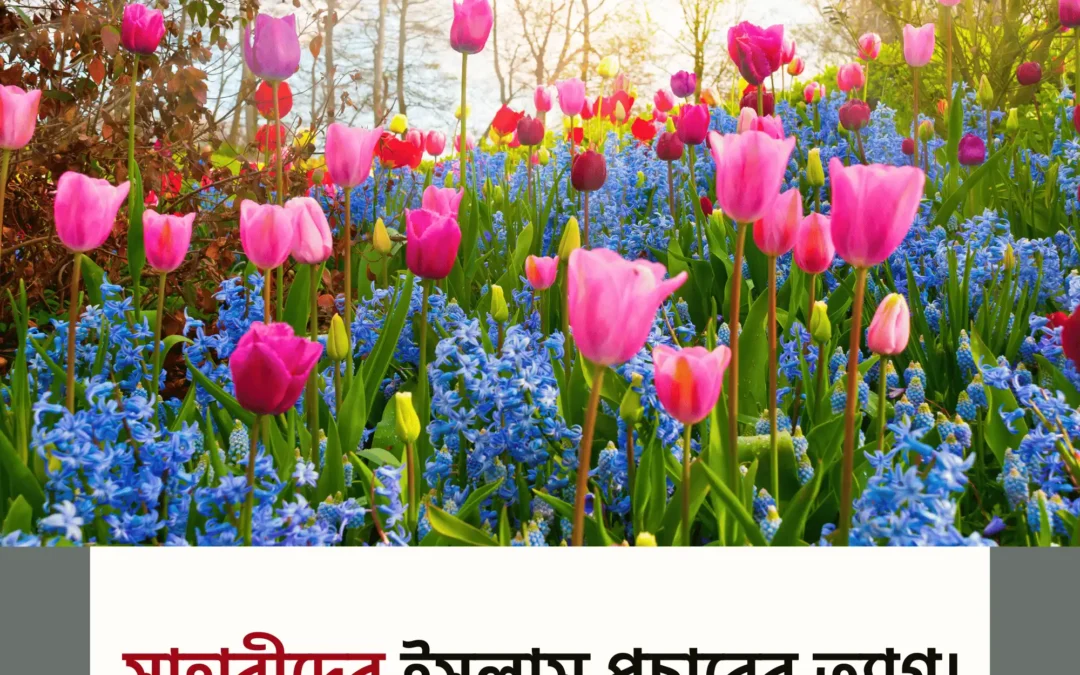 ইসলাম প্রচারে সাহাবীদের ত্যাগ — ইতিহাসের অমর এক অধ্যায়!
