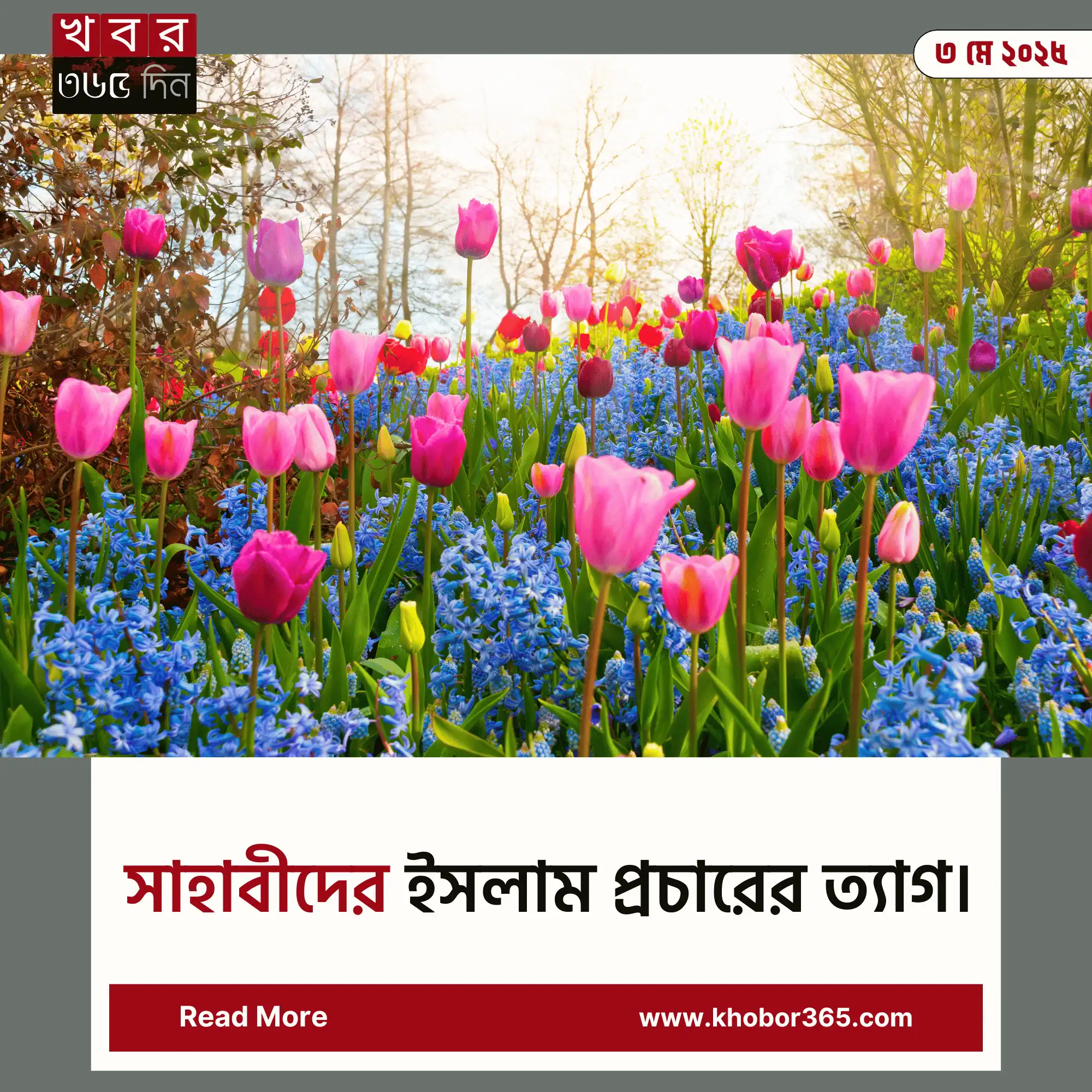 সাহাবীদের ইসলাম প্রচারের ত্যাগ