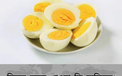 ডিমের কুসুম খাওয়া কি ক্ষতিকর, না উপকারী? ভুল ধারণা ভেঙে জানুন সঠিক তথ্য