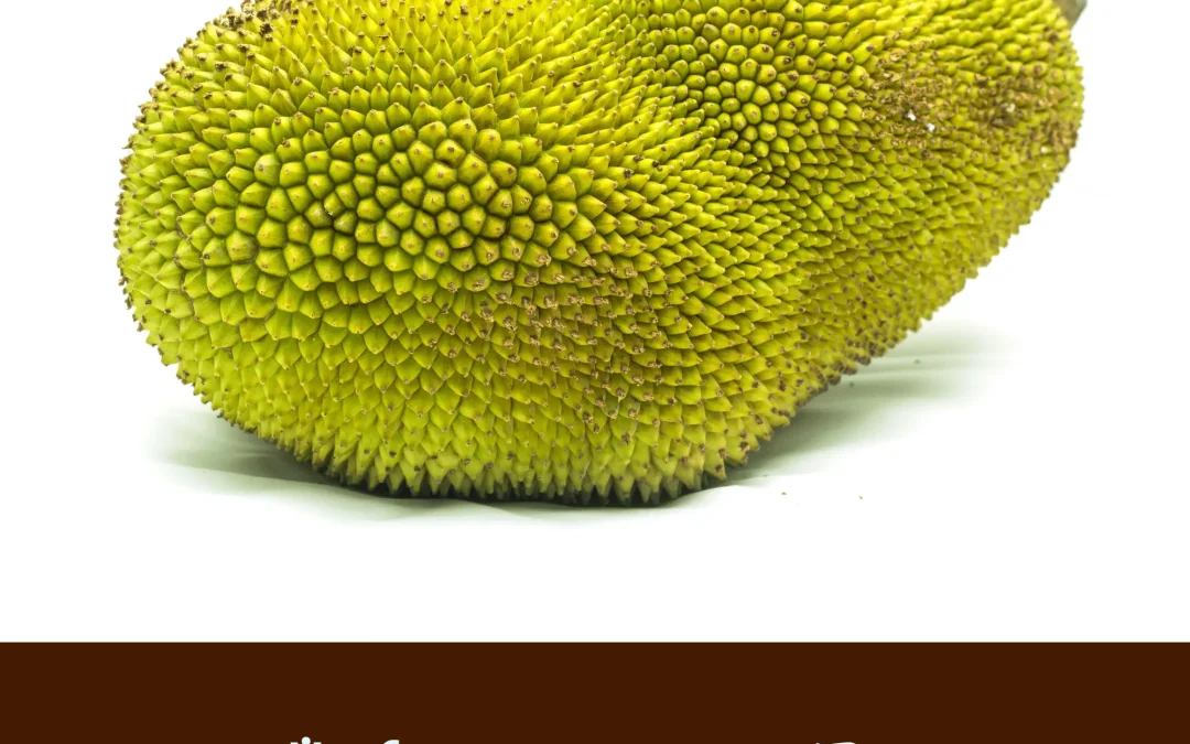 জেনে নিন jackfruit nutritional information – কাঁঠালের পুষ্টিগুণে আছে চমকে দেওয়ার মতো উপকারিতা!