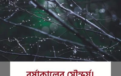 Monsoon season – বর্ষাকালের চমকপ্রদ সৌন্দর্য ও বাস্তবতা!