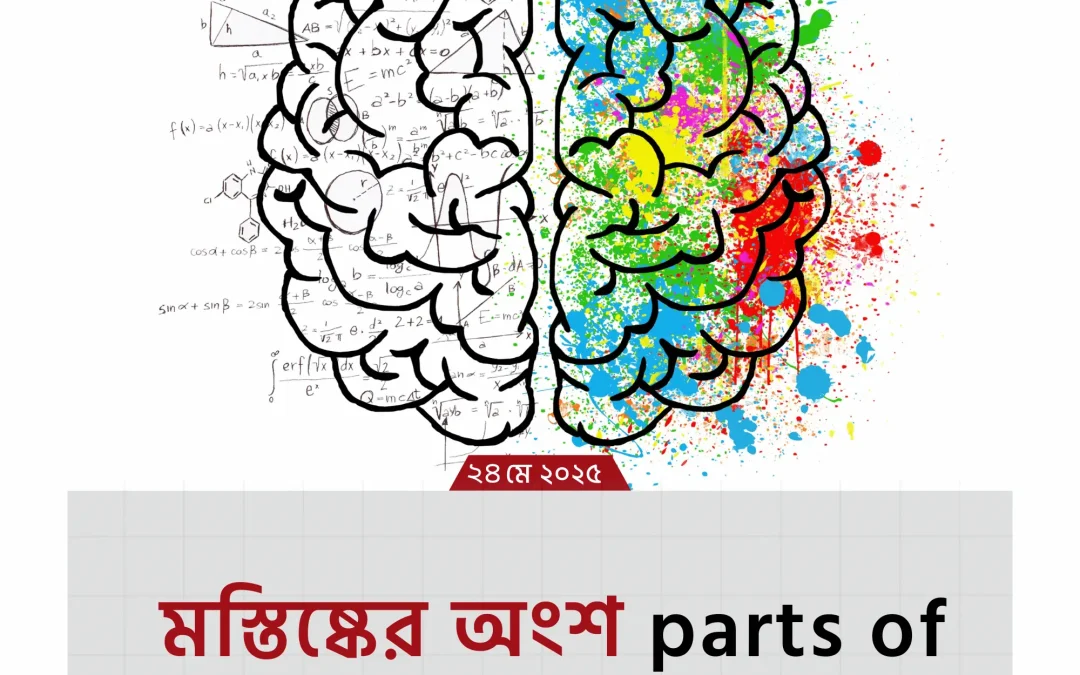 parts of brain: মস্তিষ্কের অজানা রহস্য উন্মোচন!