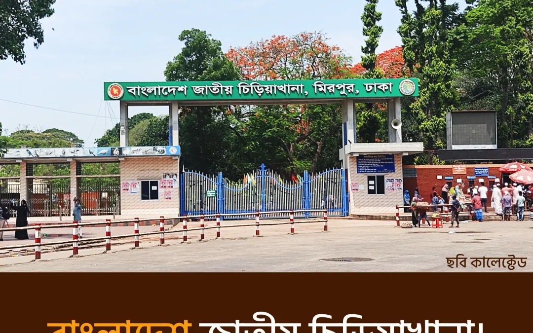 bangladesh national zoo – প্রাণিজগতের এক বিস্ময়কর অভিজ্ঞতা