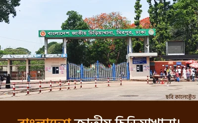 bangladesh national zoo – প্রাণিজগতের এক বিস্ময়কর অভিজ্ঞতা
