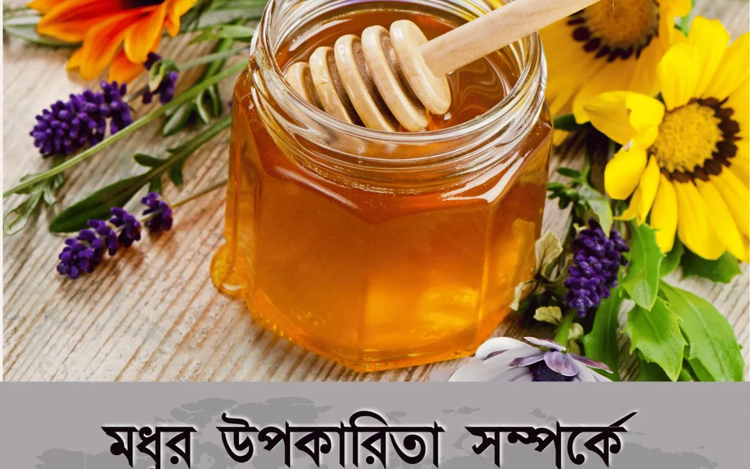 Benefits of Honey: মধুর অসাধারণ উপকারিতা জানলে অবাক হবেন!