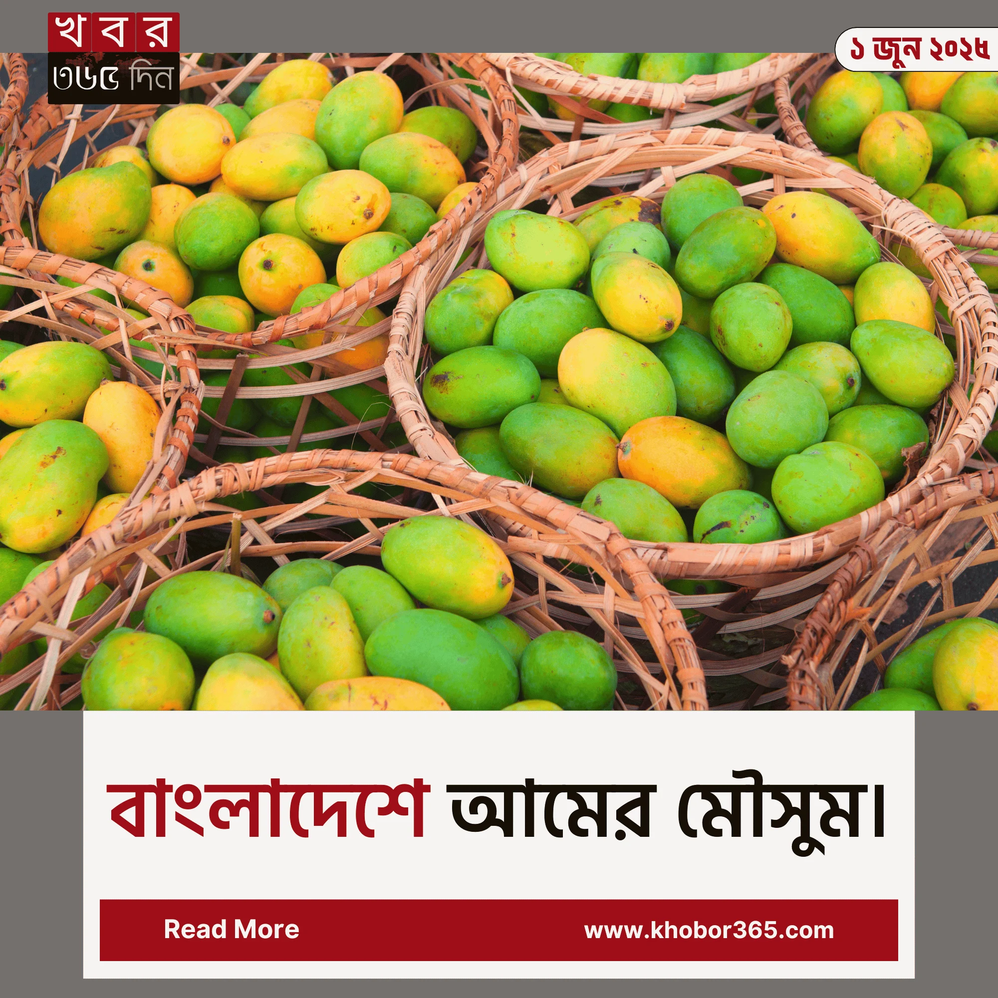 হাড়িভাঙ্গা আমের ঝুড়ি mango in bangladesh