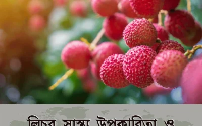 Lychee Fruit Benefits: এই গরমে লিচু খাওয়ার ১৫টি আশ্চর্য উপকারিতা!