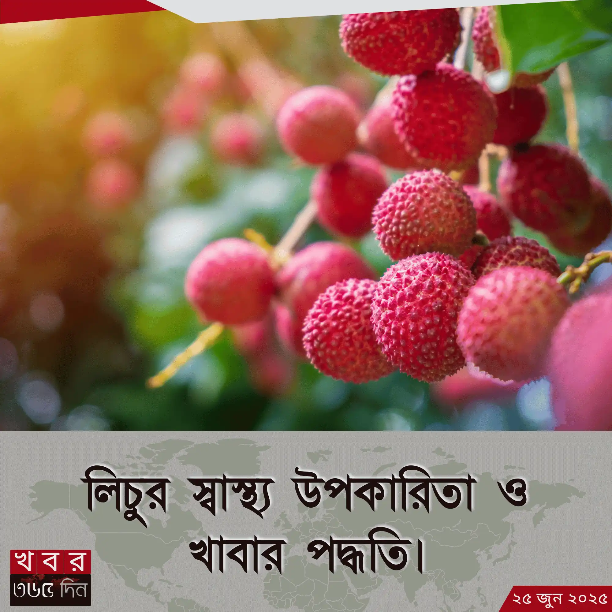 lychee fruit benefits নিয়ে বিস্তারিত তথ্য
