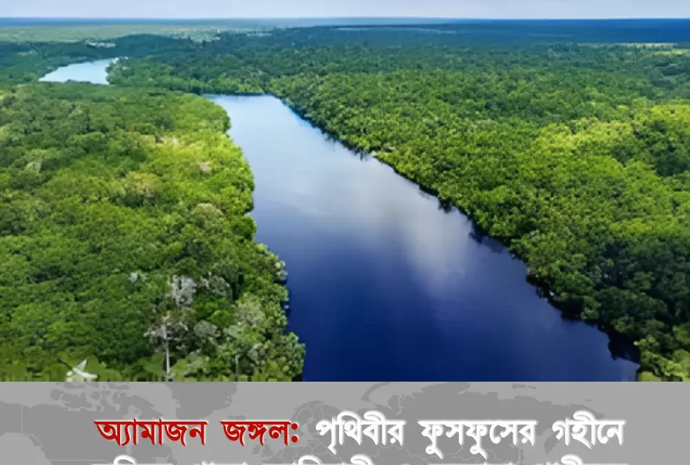 অ্যামাজন জঙ্গল: পৃথিবীর ফুসফুসের গহীনে লুকিয়ে থাকা আদিবাসী ও অজানা প্রাণীদের রোমাঞ্চকর তথ্য