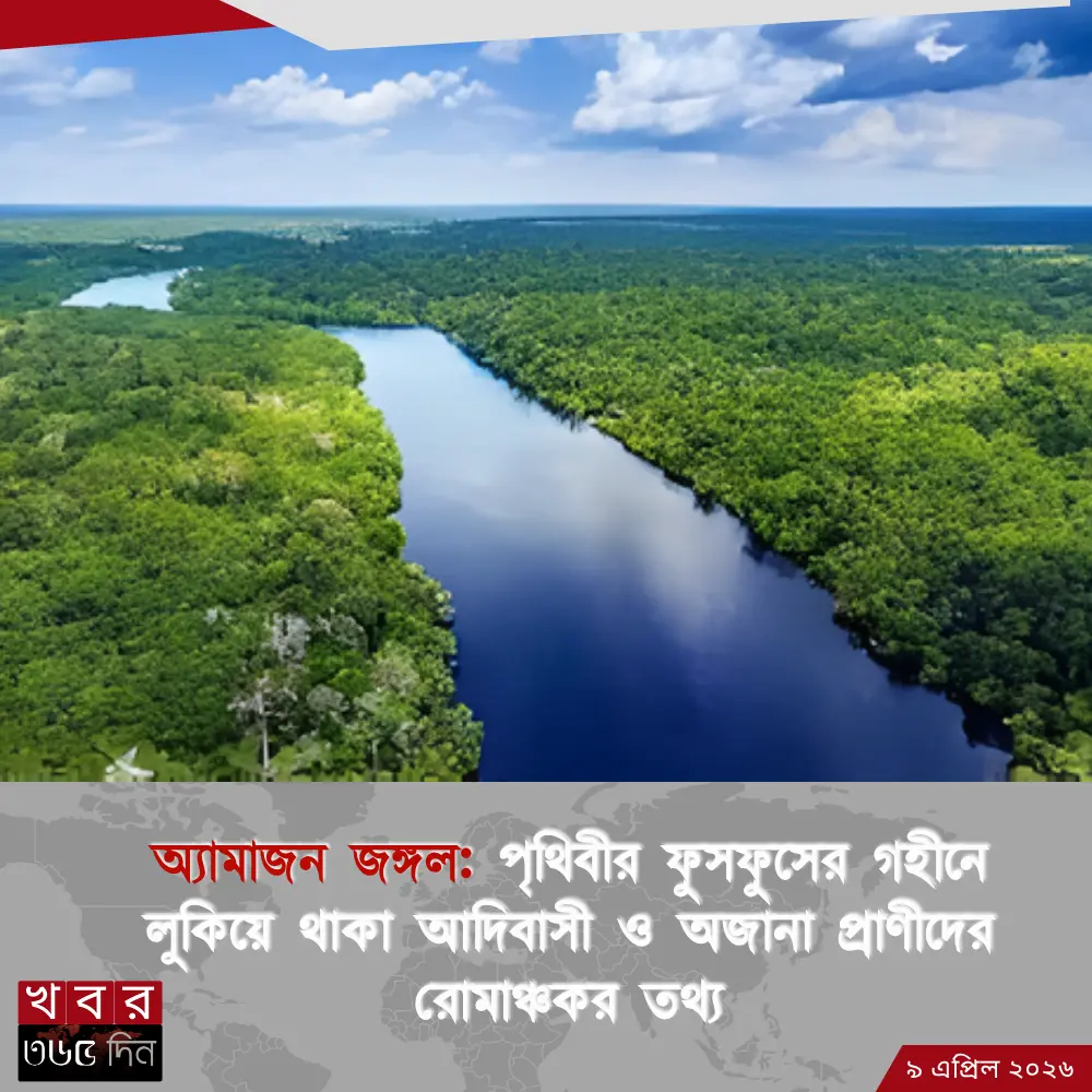 রহস্যময় অ্যামাজনের গহীন অরণ্য প্রাকৃতিক সৌন্দর্যে ঘেরা রহস্যময় অ্যামাজন জঙ্গল এর অপরূপ দৃশ্য।